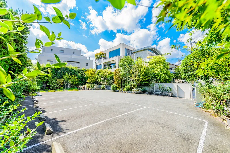 林クリニックには、とてもグリーンが多いですよね